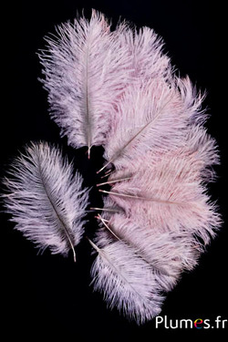 Strauss Bellies - 8-13 cm - zartrosa-hellgrau